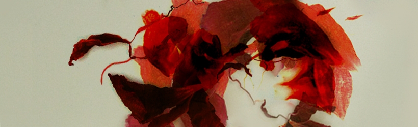 © Max McLaughlin (www.maxmclaughlin.com)