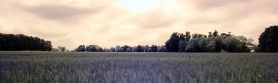 Some rights reserved by lrargerich