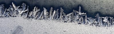 frost