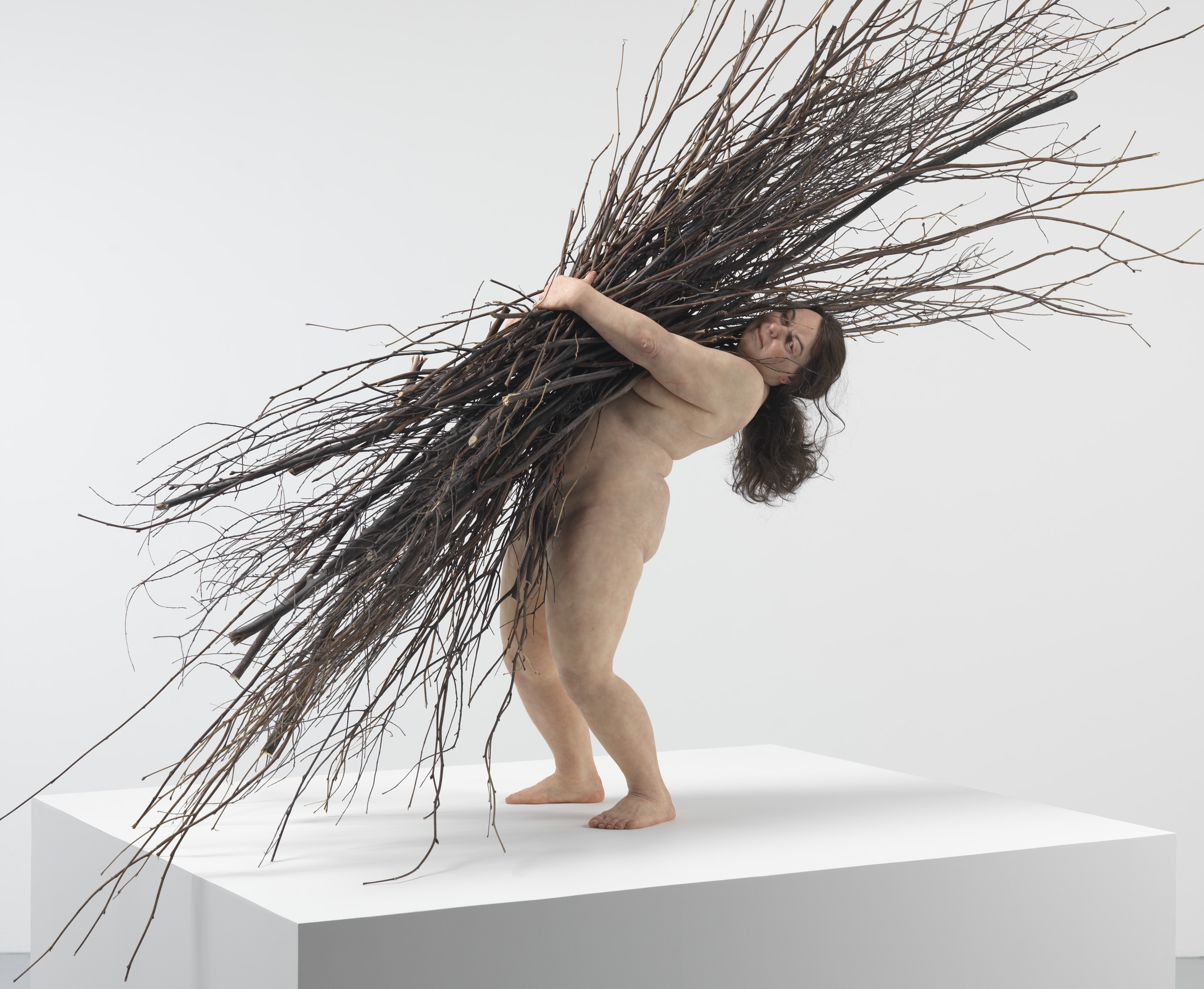 Ron-Mueck-Woman-with-Sticks-20082.jpg
