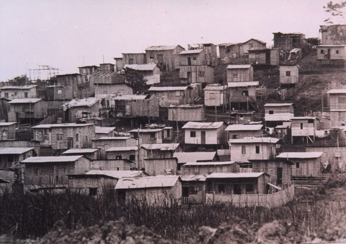 Three Poets and the World - The White Review