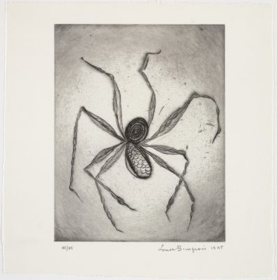 Louise Bourgeois's Spiders: A Guide to Their History and Meaning