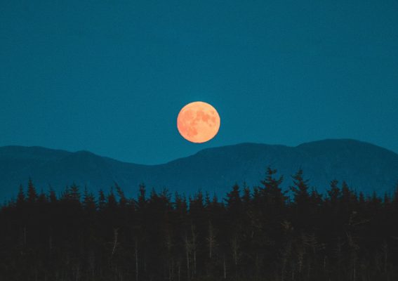 an image of a pale pink moon in a deep blue sky, over silhouetted mountains and trees