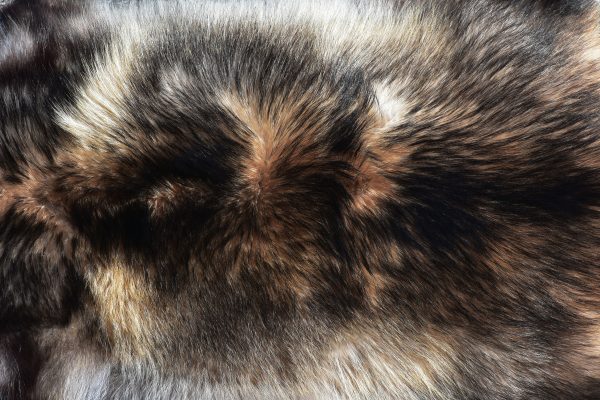 a close up of some brown fur, with some lighter patches and some darker patches